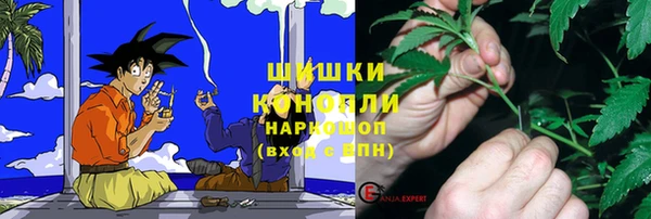 ГАЛЛЮЦИНОГЕННЫЕ ГРИБЫ Дмитров