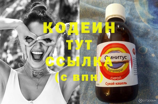 индика Елабуга
