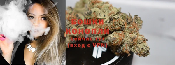 ешки Ельня
