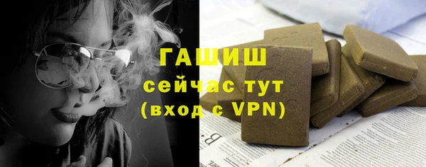стаф Елизово