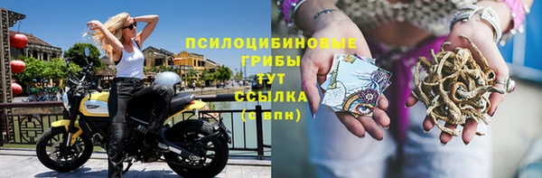 ГАЛЛЮЦИНОГЕННЫЕ ГРИБЫ Дмитров