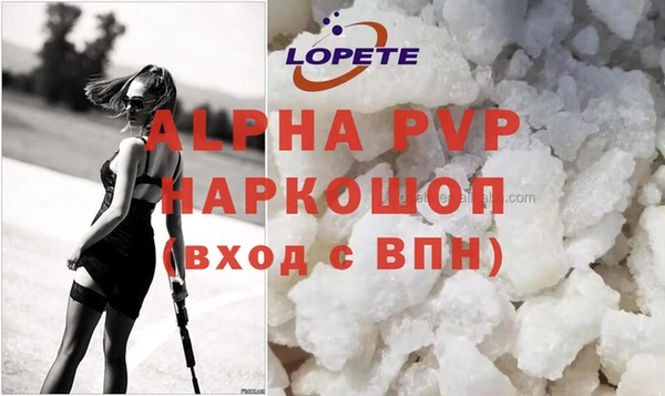 индика Елабуга