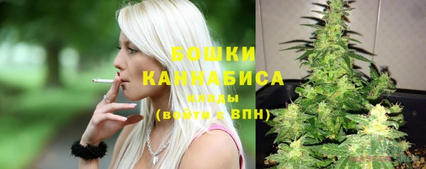 ешки Ельня