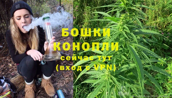 каннабис Дмитриев